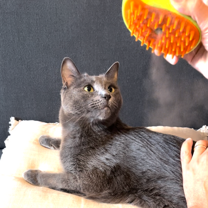 KitMew 3-in-1 Cat Steam Brush